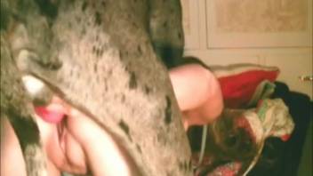 Ruthless domesticated creature ravages her narrow vagina in doggy style