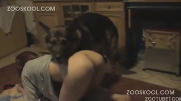 The sexiest canine barely fucked a huge-assed animal-fucking whore