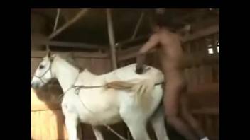 Perverted black guy fucks a sweet white pony in doggy style pose