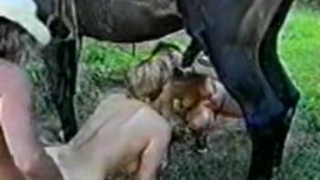Wild group beast encounter featuring two women, two guys, and horses