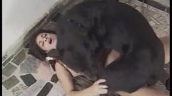 Intense sex scene featuring a curvy-assed dark-haired vixen