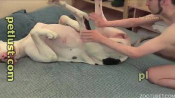 Aroused man screwing his hot female dog in the bedroom