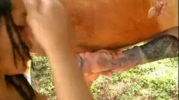 Hispanic beauty is completely destroyed by a hot chestnut stallion