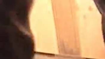 Novice female stuffs enormous horse dick into her vagina