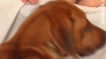 Disguised babe gets pounded doggy-style intensely in the bedroom