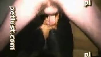 Stunning Rottweiler bitch gets ass-pounded by her disgustingly nasty owner