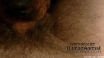 Alluring disciplined pup expertly fellates a cum-laden dick of an excited dude
