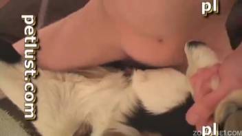 Zoophilic guy is entering his gorgeous canine pet in the house