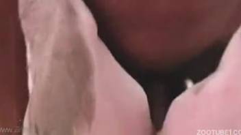 African American man with a massive cock aggressively penetrates his stunning Caucasian partner from behind