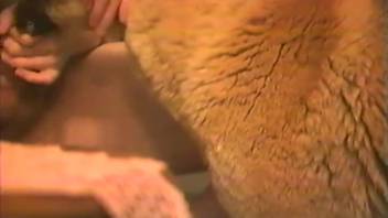Guy excitedly stimulating a female dog's vagina before intercourse