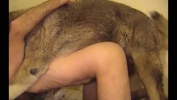 Massive hound drills twisted dude in his charming rear-entry stance