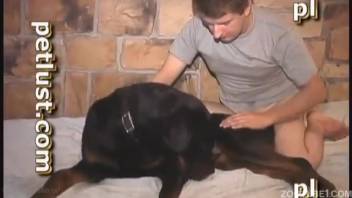 Ebony bitch and grimy dude enjoy fantastic bestiality in the bedroom