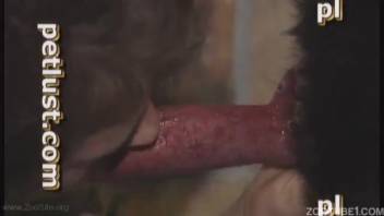 Naive ebony pup receives a thorough deep oral from sleazy master