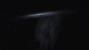 Incredible nighttime beast sex scene with a skilled animal