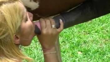 Fair-haired Latin woman performs oral sex on an enormous equine phallus