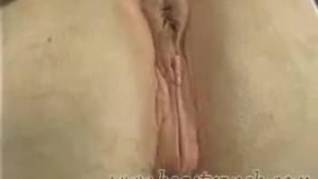 Rancher thrusts his stiff cock into the narrow asshole of a sexy mare