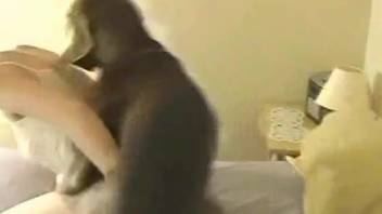 Large canine and slender babe enjoy wild animalistic romp in the bedroom
