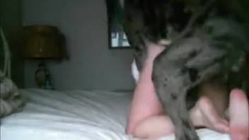 Incredible novice zoophilia whore enjoys her filthy canine