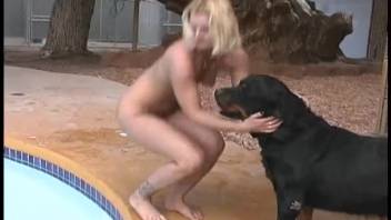 A Rottweiler aggressively takes a sexy babe from behind in the doggy position.