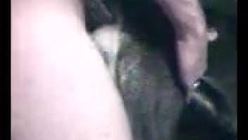 Stunning retriever was anally penetrated in doggy style