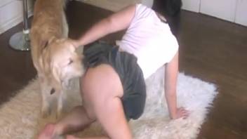 Unfaithful spouse is roughly penetrated by her adorable hot canine