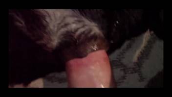 Observe as my rosy shaft penetrates the snug rear entrance of a real woman in doggy style