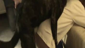 Ideal novice teen animal enthusiast bangs a massive hound