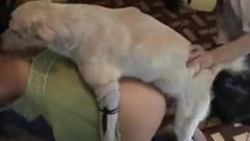 Sexy babe getting punished by her white doggo