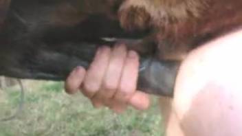 Huge-cocked beast ravaging that narrow opening