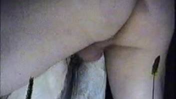 Well-endowed guy overpowers the female horse's snug vagina from the rear