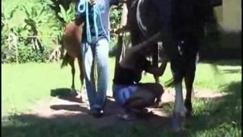 Rural lass opts for some oral pleasure with a steed