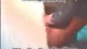 Intense animal pornography guides the plump older woman to extreme climaxes