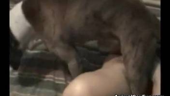 Intense homemade animal sex video