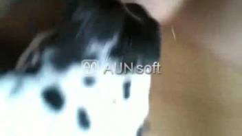 Lady stimulates herself with fingers as her canine tongues her clitoris
