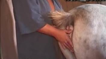 Mulatto MILF devouring equine vagina prior to intercourse