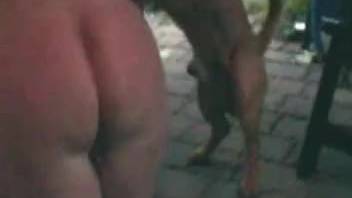 Curvy vixen relishing intense animal sex in the great outdoors