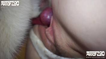 Intense rough pounding for the snug lady after she deepthroats the canine cock