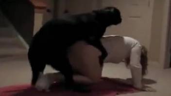 Curvy ass MILF fucked by a perverted black canine