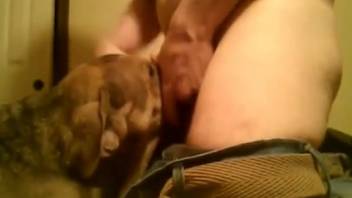 Guy slamming a dog's throat like a dominant boss