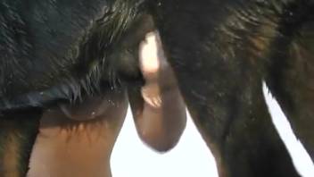 Blonde beauty gets soaking wet and fucked hard too