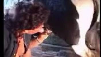 Wavy-haired woman screwing all beasts in the stable