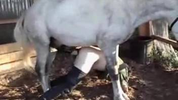 Anal pounding encounter with a hot animal-loving guy