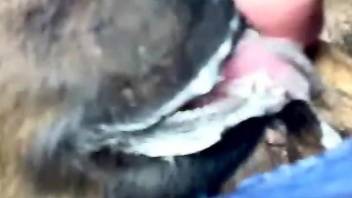 Dude enjoys an outdoor BJ in a scene with a beast