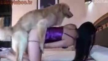 Masked chick getting fucked hard by a big-dicked animal