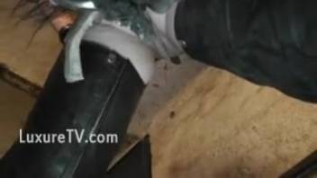 Leather-clad mature seductress handles a massive equine shaft from the rear