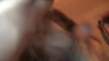 Bestiality sex has never appeared this stunning