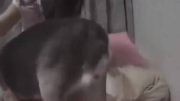 Asian cam vixen joyfully screwing her pet beast