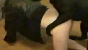 Naked lady captured on video as her snug vagina is thrust into by a canine