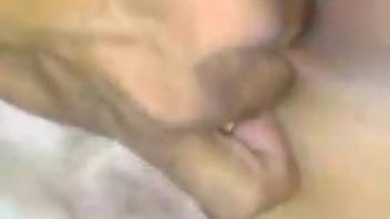 Chaotic bestiality adult film featuring sloppy sex