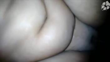 Tasty canine dick pounding a babe's steamy cunt
